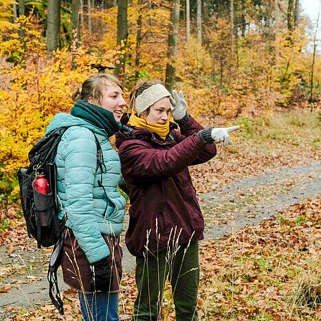 Entschleunigung durch Detailbeobachtungen im Wald Entschleunigung durch Detailbeobachtungen im Wald
