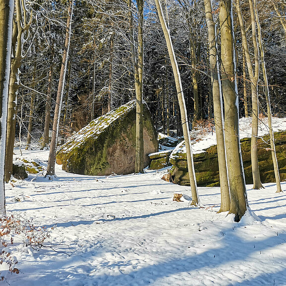 Findlinge im Schnee - Sächsische Schweiz Findlinge im Schnee in der Saechsischen Schweiz