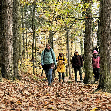 Gemeinsame Wanderung um Erdung zu erfahren Gruppenwanderung im Wald um Erdung zu erfahren